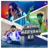 About Chora Haryana Ka Song